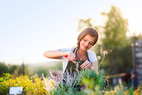 Supplier audit and due diligence for Gardeners Alperton