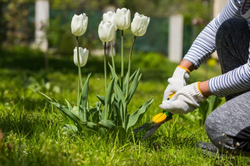 Lawn mowing service in Alperton improving lawn health