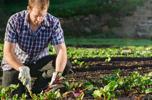 Gardeners Alperton maintaining a tidy urban garden in London