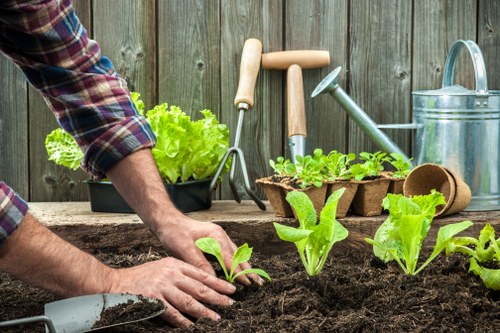 Garden maintenance in Alperton with neatly trimmed lawn and hedges