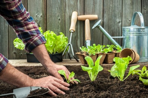 Illustration of a gardener handling a customer complaint professionally