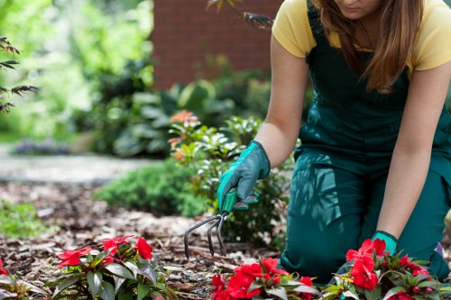 Final safety check after a professional gardening job in Alperton