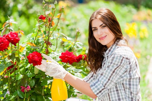 Garden waste removal and clearance in Alperton