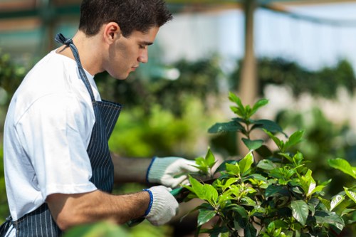 Staff training and safe tool handling during gardening work