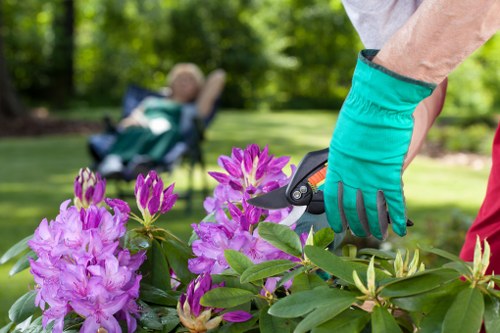 Annual review of modern slavery controls for Gardeners Alperton
