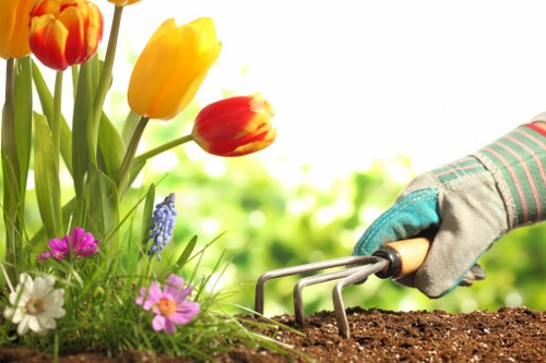 Alperton garden maintenance with pruning and border care