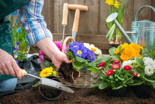 Professional garden upkeep in Alperton including lawn and weed control