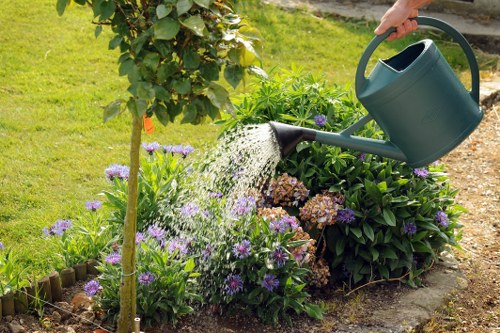 Professional gardeners in Alperton maintaining shrubs and lawns