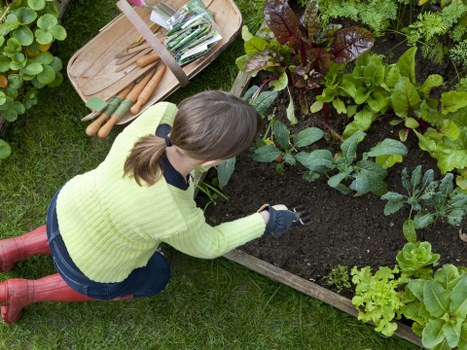 Image representing a clear complaint process for gardening services