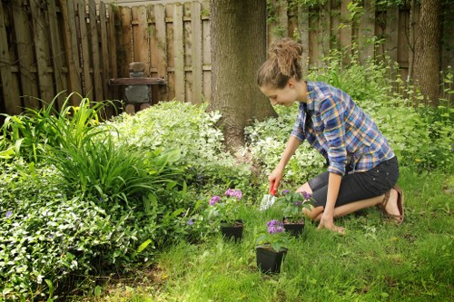 Seasonal planting and lawn care by Alperton gardeners
