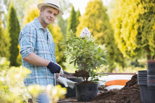 Clearing branches, leaves, and garden waste in Alperton