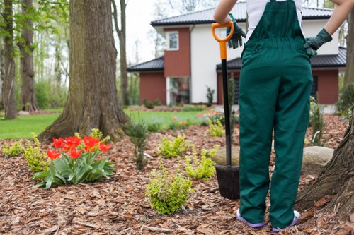 Requesting accessibility support for Gardeners Alperton