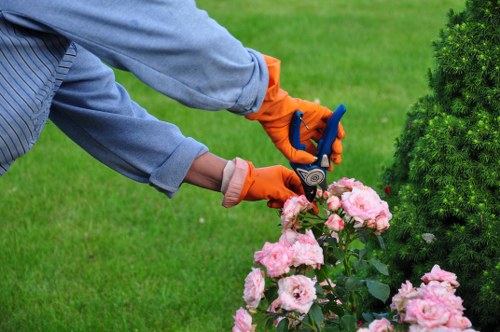 Experienced gardeners in Alperton creating a tidy and balanced garden