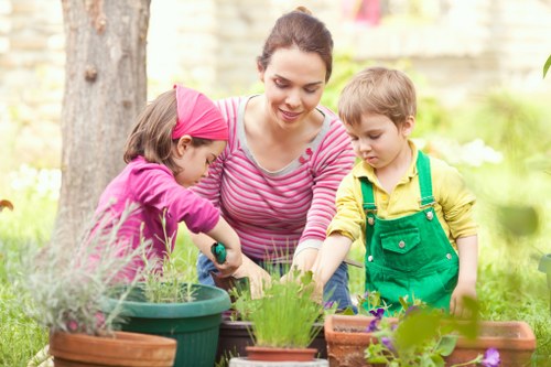 Professional garden clearance service in Alperton