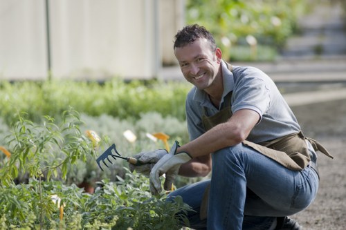 Landscaping and garden care support in Alperton for homes and businesses