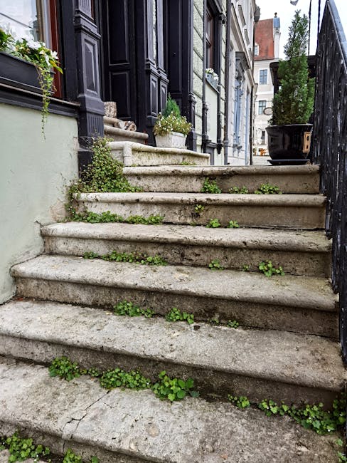 A narrow garden space situated in a tight terrace, featuring a gravel pathway bordered by diverse plants and garden pots. On the left, there are various potted plants placed on shelves and the ground,