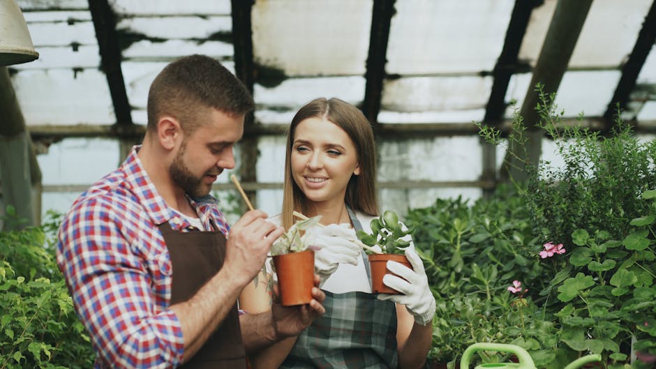 A young man and woman are inside a greenhouse, engaged in garden care activities. The man, wearing a checkered shirt and apron, is carefully examining or tending to a small potted plant with delicate